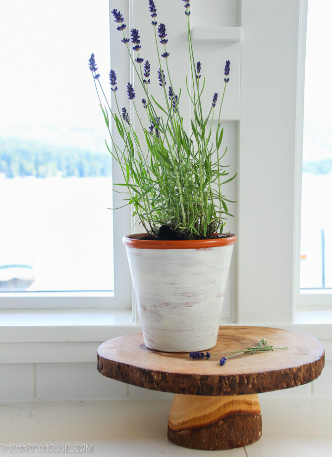 Love these DIY Lavender Pots, such cute home decor. Such a pretty french country decor accent or farmhouse decoration! #diy #lavender #tabledecor #farmhousecharm #frenchcountry #lavenderdecor