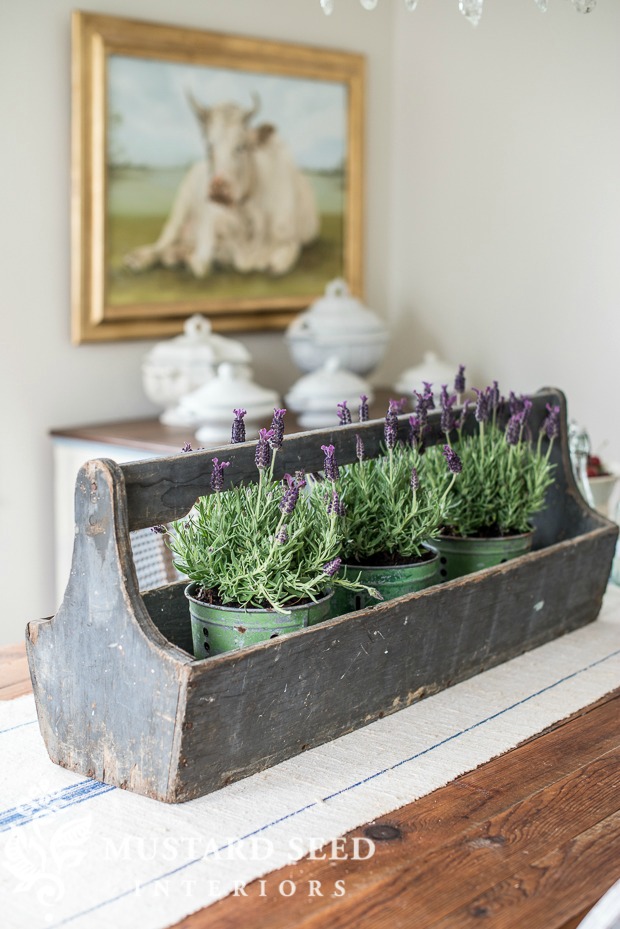 Adore this old wooden tote with aged tins filled with lavender plants. #lavendertablescape #lavenderdecor #tabledecor #lavenderdecorations