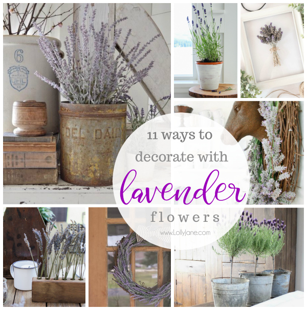 11 ways to decorate with lavender flowers. Add farmhouse charm to your home by adding soft lavender flowers for a soft pop of color. #lavenderflowers #homedecor #lavenderdecor #homedecorations #farmhousedecor