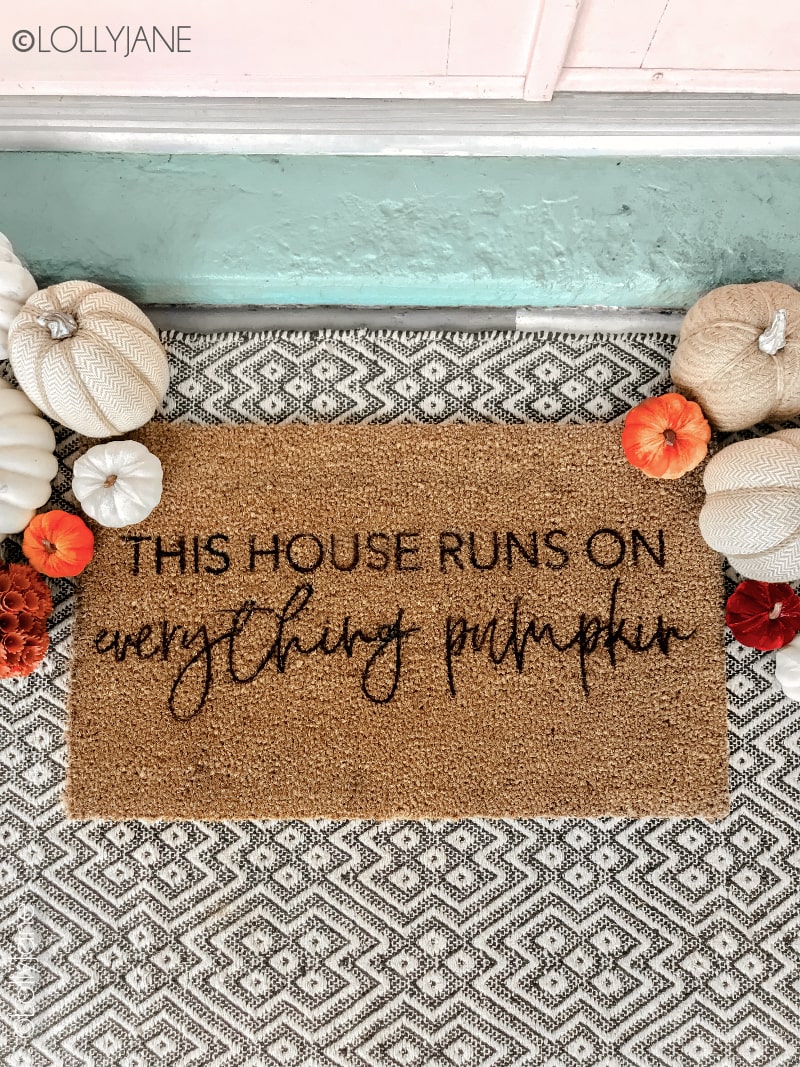 Stylish Doormats, Best Doormat, Modern Doormat