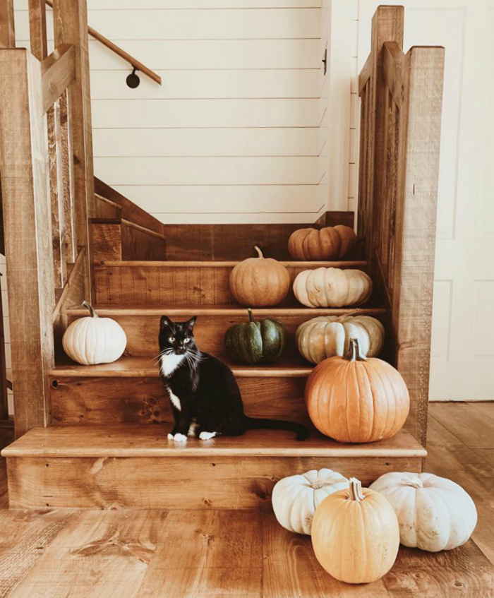 Lovely fall farmhouse decor, lay pumpkins on stairs for natural fall decorations. #fallfarmhousedecor #falldecor #neutralfalldecor #farmhouseliving #pumpkinsonstairs #pumpkinsstaircase