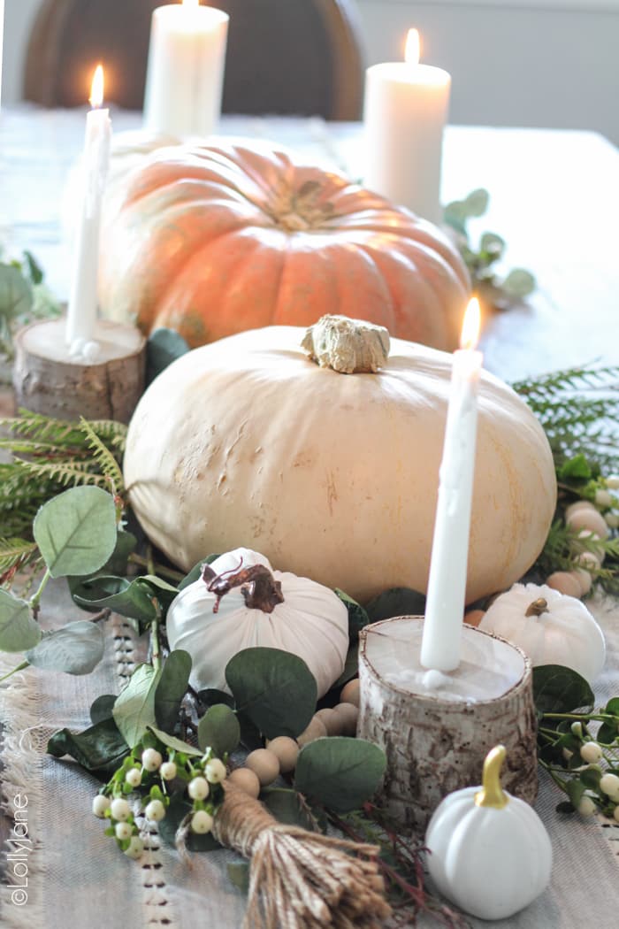 Gorgeous FALL inspired table scape, easy to recreate and won't break the bank! #falldecor #falldecorating #falltablescape