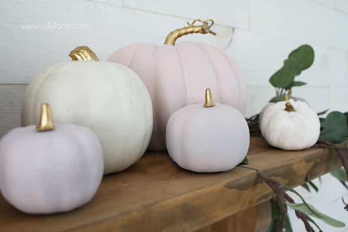 DIY gold stem pink pumpkins, welcome fall this season with non-traditional colors. Love these blush pink chalk painted pumpkins, follow this easy how-to! #falldecor #chalkpaintpumpkins #diypumpkins #pinkpumpkins