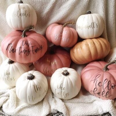 9 Pink Pumpkin Decor Ideas