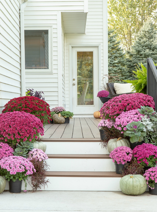 Mums paired with pumpkins layered on your stairs makes the prettiest outdoor fall decor! Grab these easy to copy fall decorating ideas! #outdoorfalldecor #mums #pumpkindecor #mumsandpumpkins