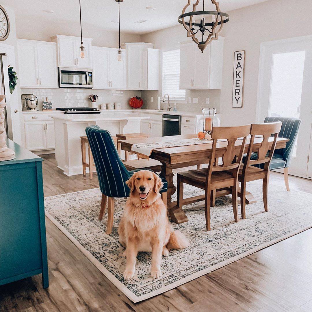 Stunning new build modern farmhouse kitchen by KB Home! #KBHome #ArizonaHomeBuilder #AZcommunity #neighborhood #newbuild #custombuilt #newhome