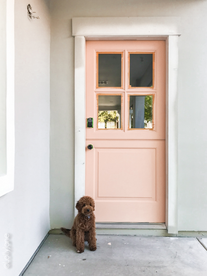 HOLY cow! Go see the amazing AFTER of this newly installed Dutch door and simple porch makeover! #diy #stencil #Dutchdoor #pinkdoor #makeover #porchdecor #porchmakeover
