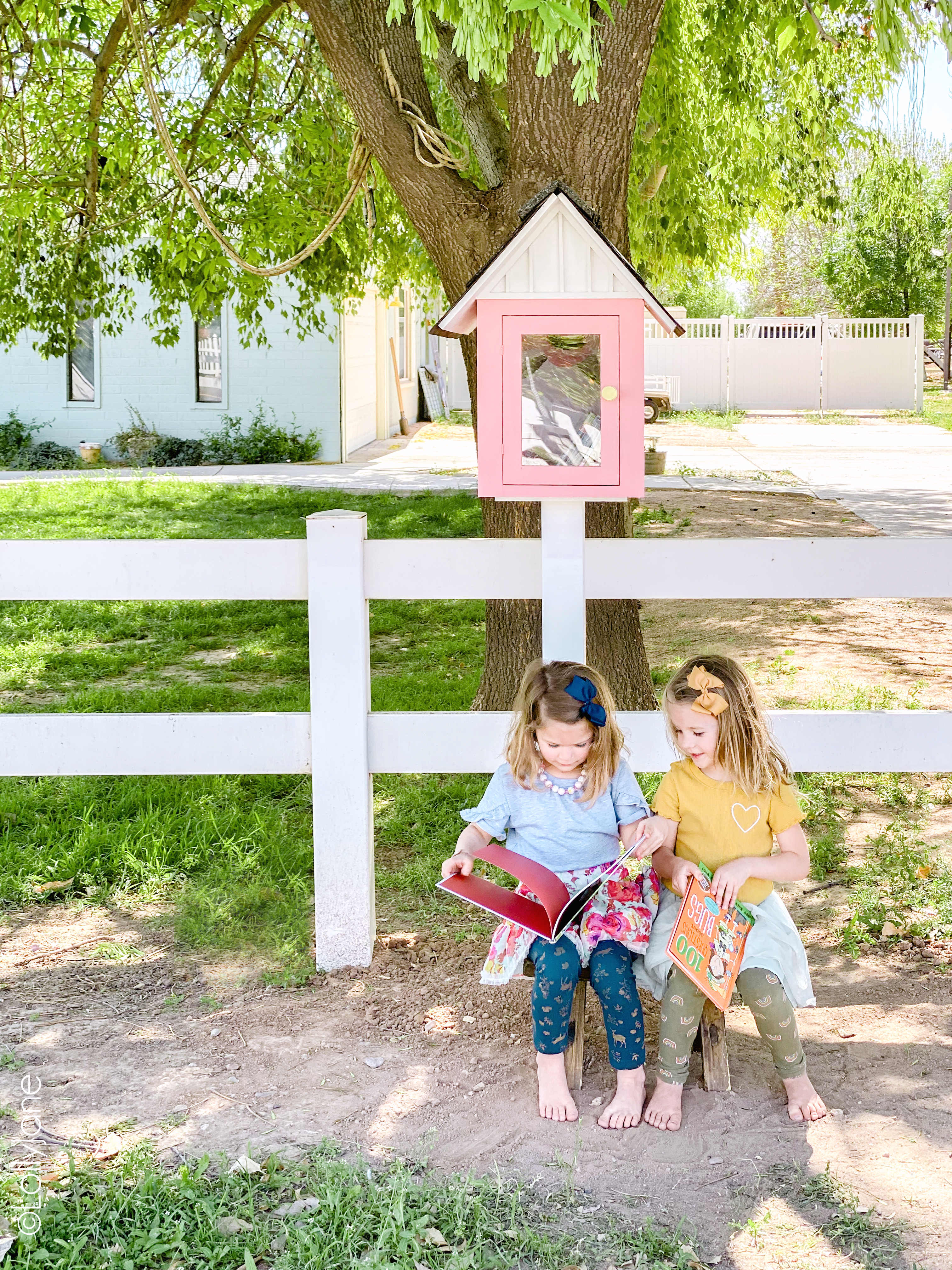 Cutest ever little library! Includes FREE PLANS to build you own! #diy #diyhouse #littlelibrary 