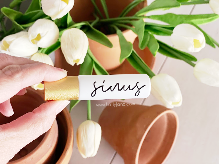 Diy Sinus Roller Ball Blend Recipe Lolly Jane