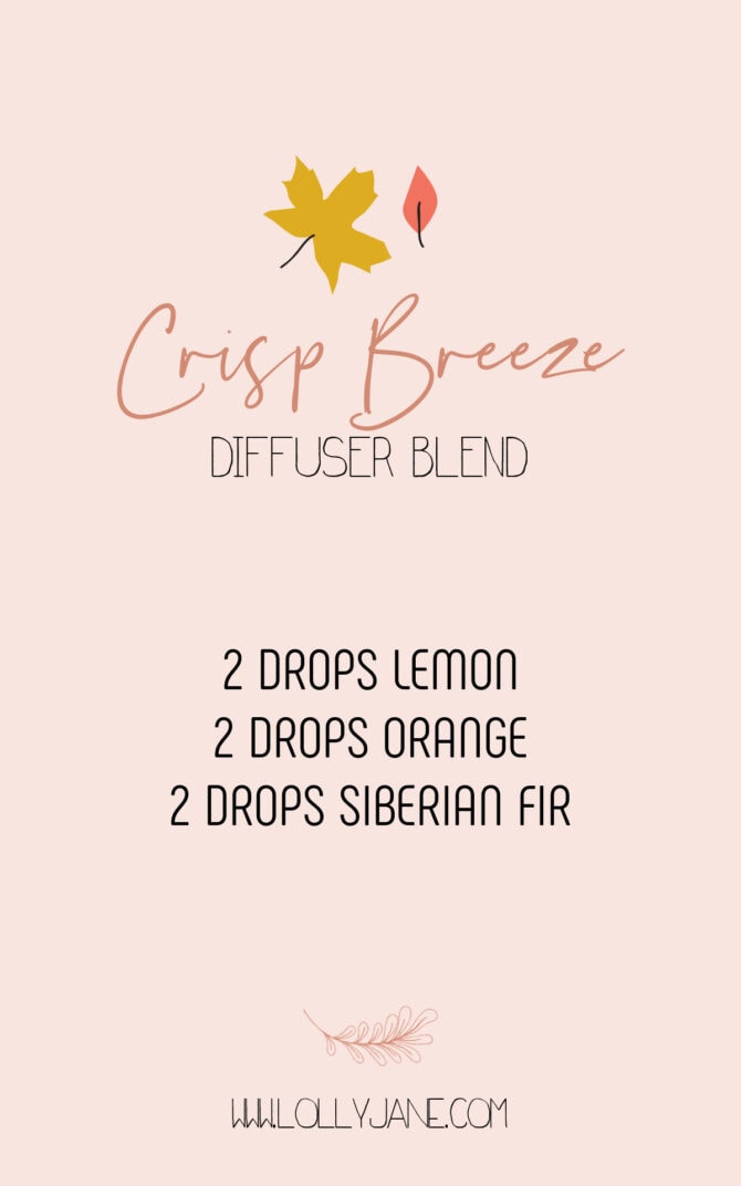 This refreshing Crisp Breeze fall diffuser blend recipe is one of our favorite fall scents! Enjoy this non-toxic way to create a fall vibe with immunity benefits. Fill your home with the warmth of fall with just a few drops. #crispbreezediffuserblend #essentialoilfallblend #crispbreezedoterrablend #essentialoilfallblend #fallblendrecipe #fallblendrecipes #falldiffuserblends #falldiffuserblendrecipe #falldiffuserblends