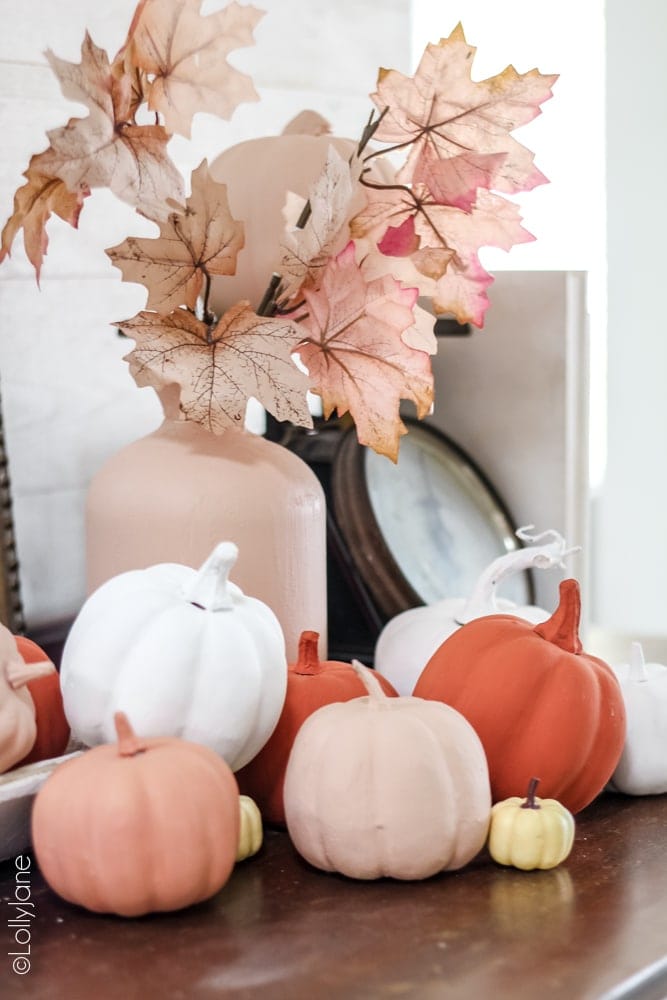 Transform ANY pumpkin to give it a pretty matte finish! DIY Baking Powder Painted Pumpkins are easier than you think to make! #diypumpkins #paintedpumpkins #bakingpowderpumpkins #falldecor #falldecoration #fallcraft #fallcrafts #pumpkincrafts #pumpkincraft #pumpkin #dollarstorecrafts