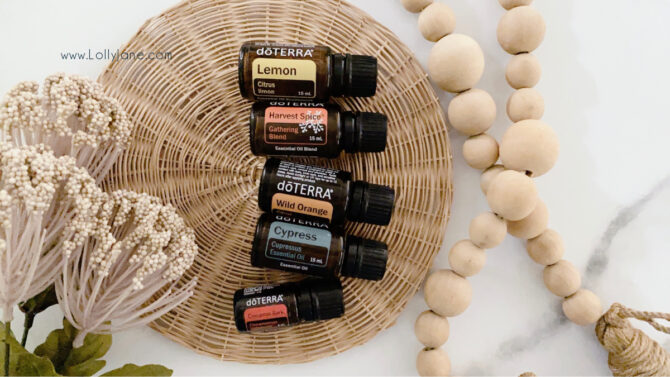 Our top 5 fall diffuser blends in one spot! We adore these warm and spicy fall diffuser recipes, super refreshing! Essential oil blends smell so good but also have so many health benefits, too! #falldiffuserblends #falldiffuser #fallblends #fallblendrecipes #pumpkinspiceessentialoils #essentialoils #essentialoilblends #fallblendrecipes #recipesforfallessentialoils