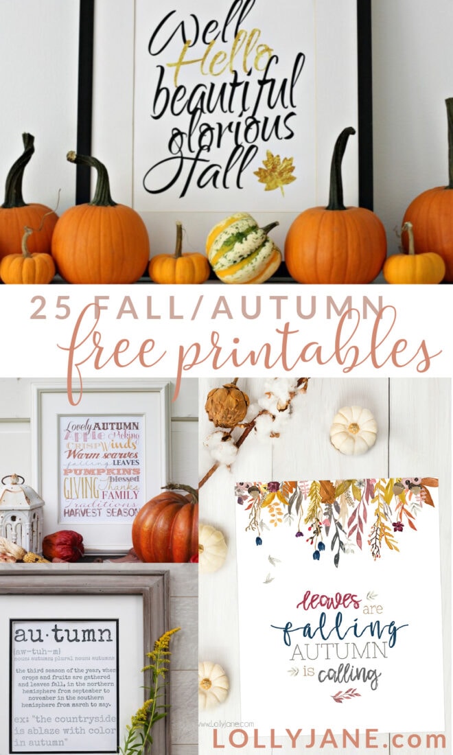 25 totally free fall printables! Just download these free fall prints then print them on your home computer. Pop them in a frame for super cheap fall decoration!! Love these gorgeous fall prints, perfect seasonal decor to last through Thanksgiving. #fallprintables #freefallart #freefallprintables #fallprintableart #falldigitaldownloads #freedigitaldownloadsfalldecor #cheapfalldecor #freefalldecorideas #freefalldecorations #freefallprintables