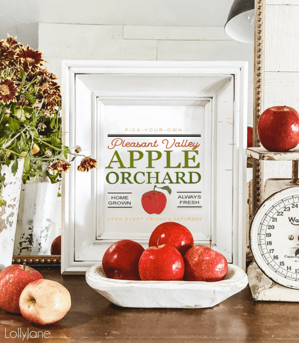 Free Fall Apples Printable Art - Lolly Jane