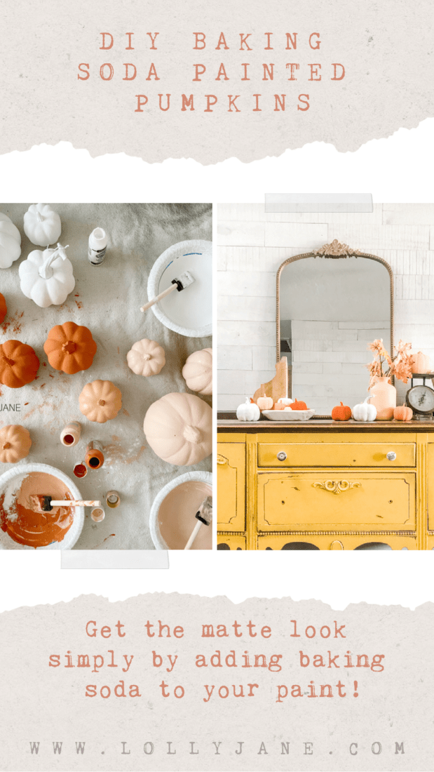 diy baking soda painted pumpkins. www.lollyjane.com