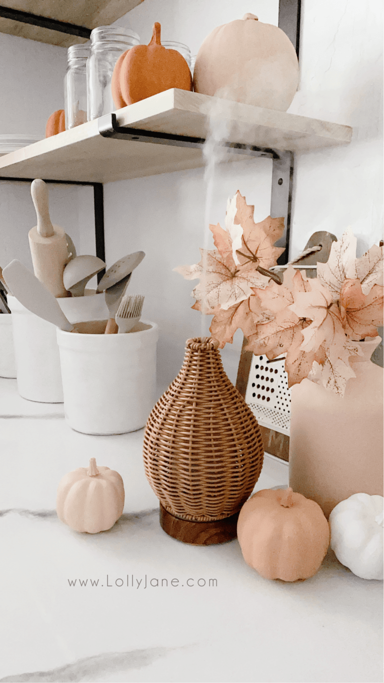 How adorable is this rattan diffuser!? LOVE it so much! It matches any decor, from modern farmhouse to boho to traditional, wicker matches any decor! It gives off a powerful flow, too! Pair it with our favorite 5 fall blend recipes for the perfect seasonal vibe. #rattandiffuser #essentialoilfallblend #fallblendrecipes #fallblendrecipe #wickerdiffuser #cutediffuser #rattanoildiffuser #wickeroildiffuser #bohodiffuser #modernfarmhousediffuser #fallblendrecipes
