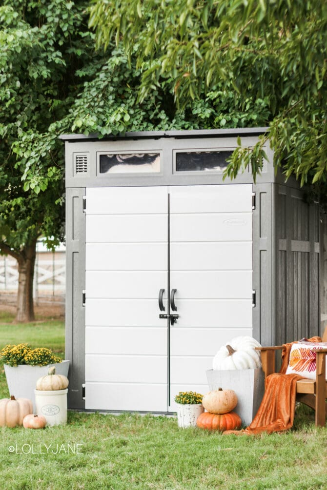 Love this chic outdoor minimalist shed just for my decor, nice to clear up indoor storage! #suncast #storagesolution #shed #sheshed #sheds #shedstorage #outdoorshed #organize #organization #holidaydecorations