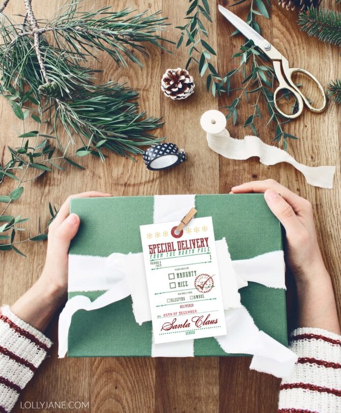 FREE Printable Gift Tags... FROM SANTA! ;) Simply print then write in the name then tie onto a gift! #freeprintable #christmaspresent #christmasgifttag #christmasgifttags #printablegifttags #freeprintable #christmastags