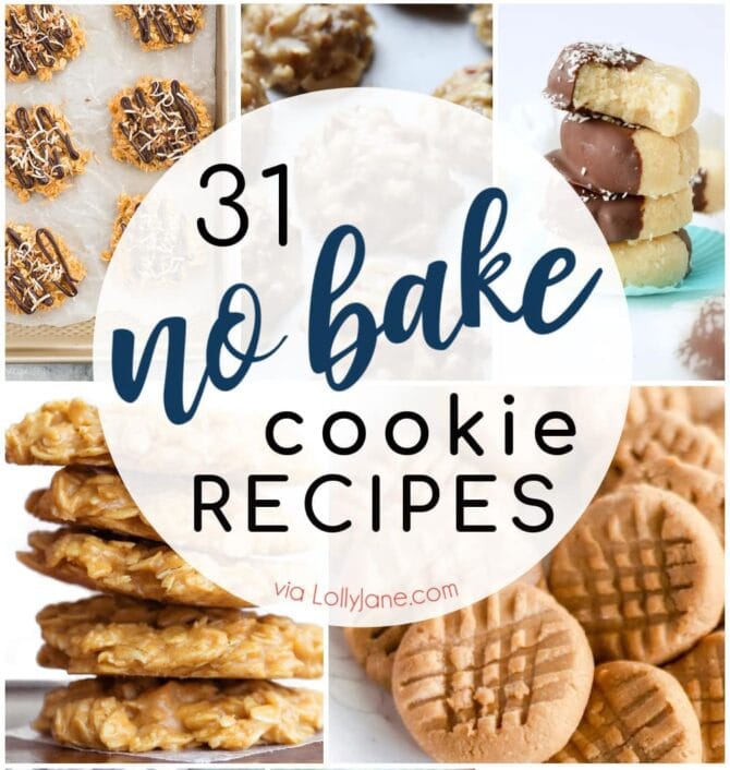 From chocolate to snickerdoodle and every flavor in between, we've got your sweet tooth covered with over 30 NO BAKE COOKIE recipes! #nobakecookies #nobakecookie #nobakedessert #nobakedesserts #cookierecipe #cookiesrecipe #easyrecipe #easyrecipe