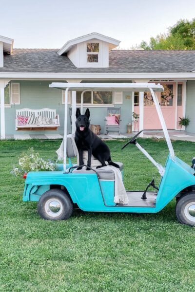 This golf cart makeover using COLORSHOT spray paint was so easy a dog can do it! (Kidding!) But it was really easy, read the full tutorial (and see the stunning before)! to get this look! #golfcart #golfcartmakeover #paint #paintingtips #painttips #spraypaint #spraypainting #spraypainttips