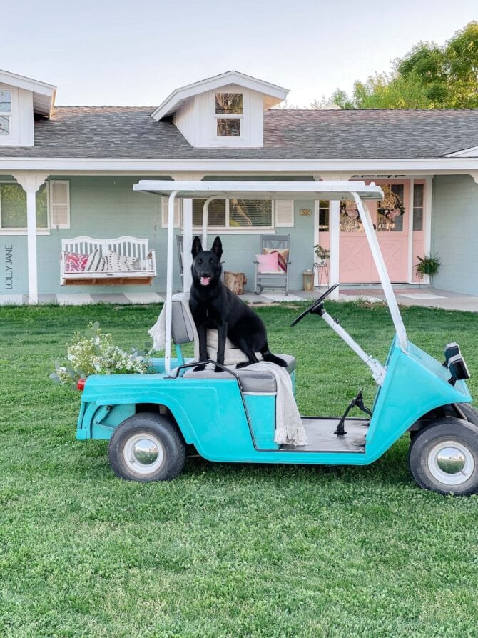 This golf cart makeover using COLORSHOT spray paint was so easy a dog can do it! (Kidding!) But it was really easy, read the full tutorial (and see the stunning before)! to get this look! #golfcart #golfcartmakeover #paint #paintingtips #painttips #spraypaint #spraypainting #spraypainttips