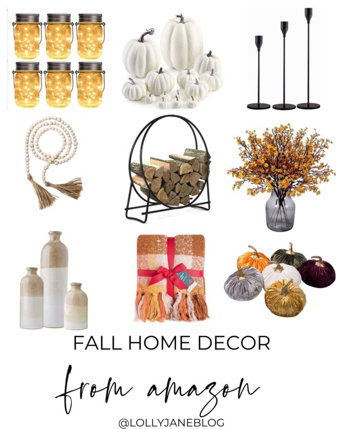 favorite fall home decor from amazon. www.lollyjane.com