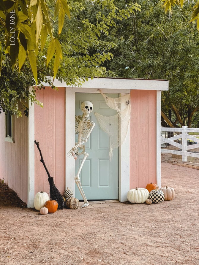 Cute painted PINK shed! Slap a coat of this cheery hue on your own shed to spruce up your yard!