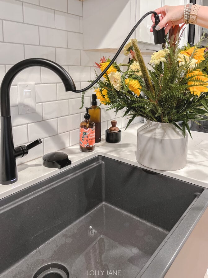 A favorite feature of this faucet is the extended hose. I have a lot of plants (where my fellow crazy plant parents at?!) and arrange flowers so I love the feature to easily water my plant babies by lining them up and that the hose can reach them all in one simple swipe.