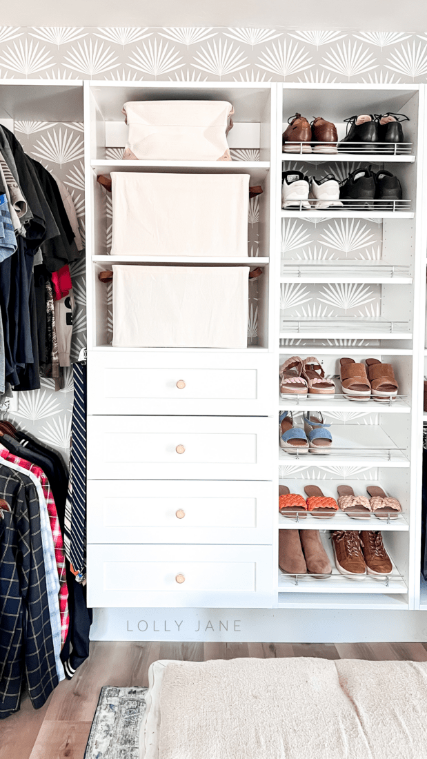 Bedroom Closet Ideas and Options