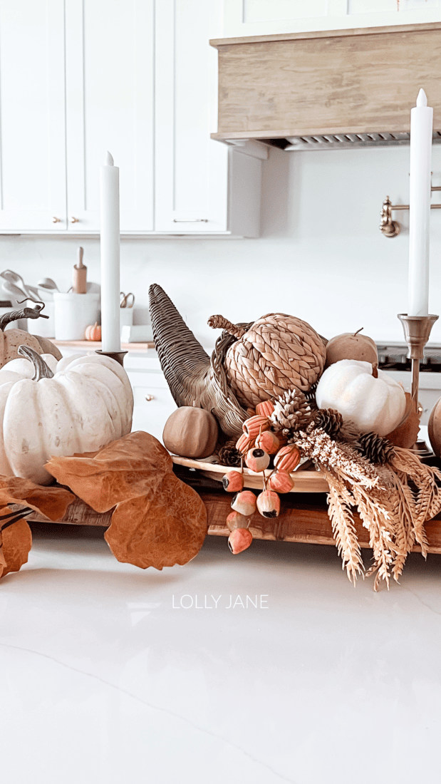 This Thanksgiving, embrace the charm of thrifted treasures with our cornucopia centerpiece decor idea. Discover how to transform a simple cornucopia into a captivating focal point for your holiday table. With budget-friendly finds from thrift stores, you can create a warm and inviting atmosphere that celebrates both gratitude and sustainability. Let's turn Thanksgiving into a time of abundance and creativity, one thrifty cornucopia at a time.