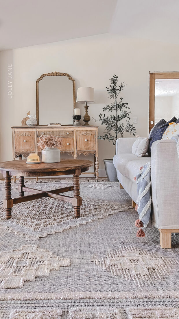 Rug up, buttercup! 🛋️ Add a dash of coziness to your great room with this fantastic area rug. It's like a warm hug for your feet and a style upgrade for your space. Dive in, roll around, and let your toes have a soft and stylish playground.