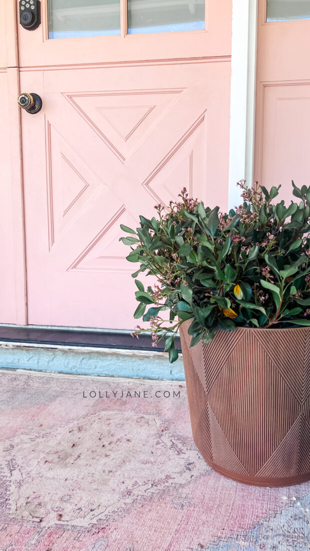 Revamp your porch using Walmart's freshest planters and bushes! Explore the fabulous Hudson large front porch planters; add your favorite plant for an instant decor upgrade.