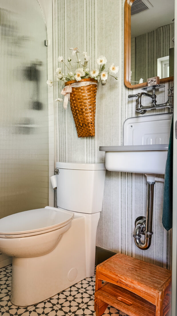 Powder room makeover with cozy bath mat and hanging shower plant.
